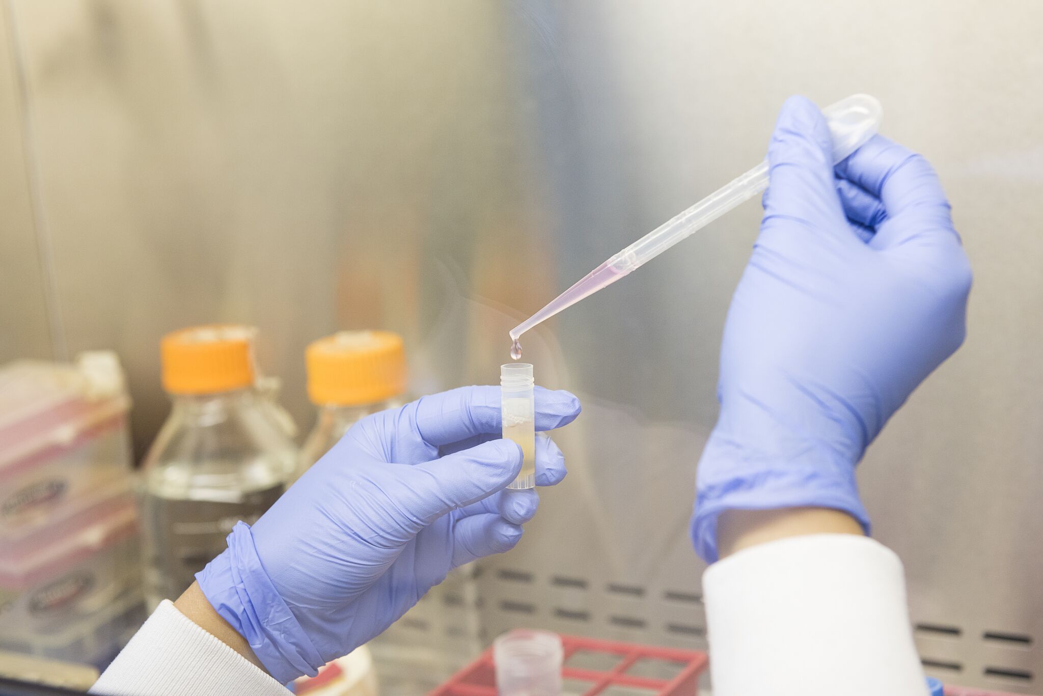 Researcher pipetting in a fume hood